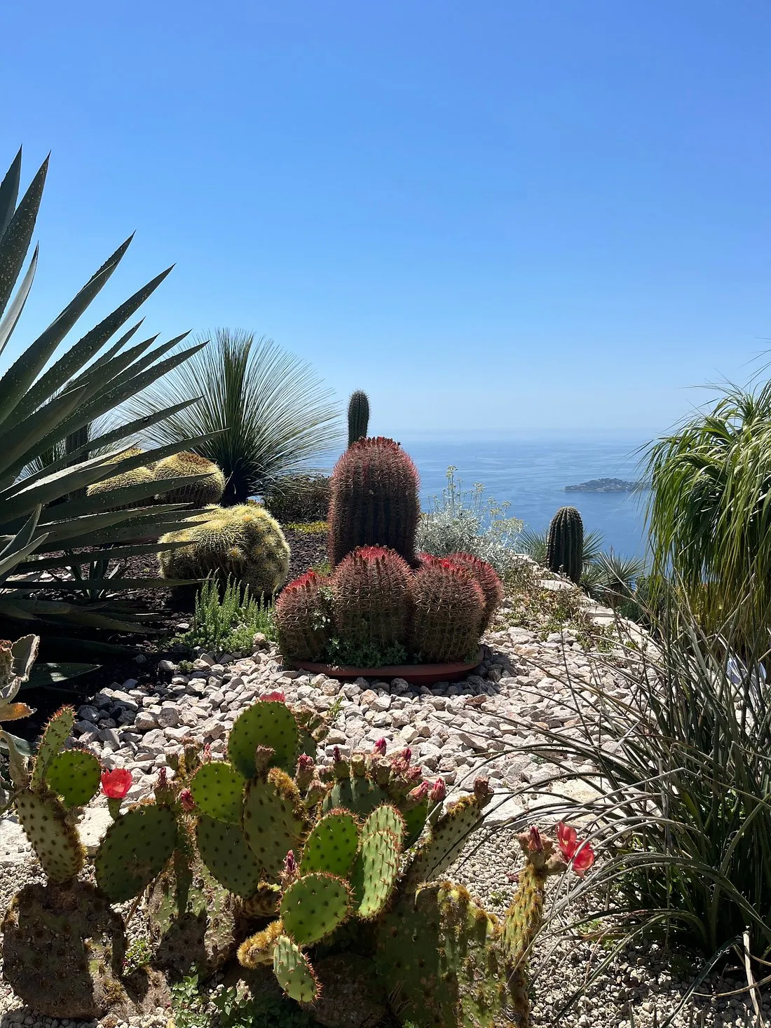Le Festival des Jardins, un nouvel événement azuréen