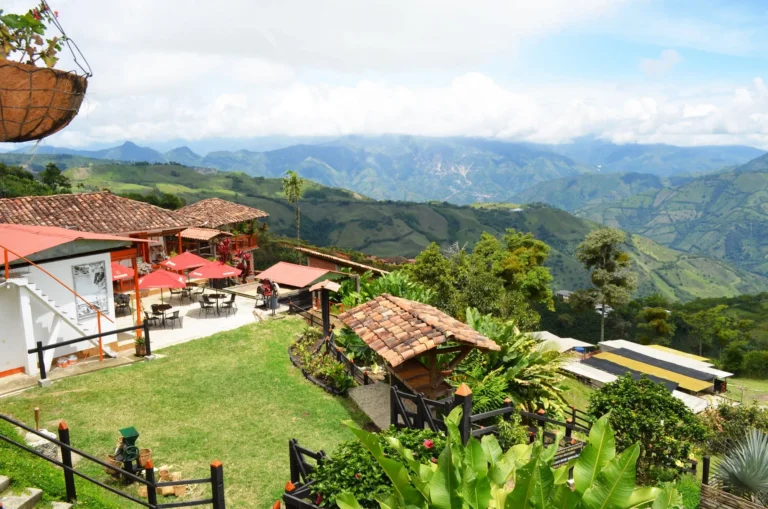 Café dans les montagnes de Salamine