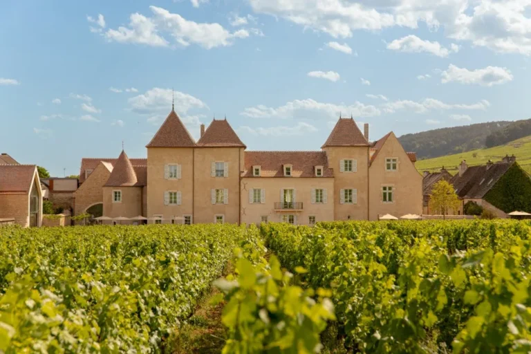 Château la Commaraine