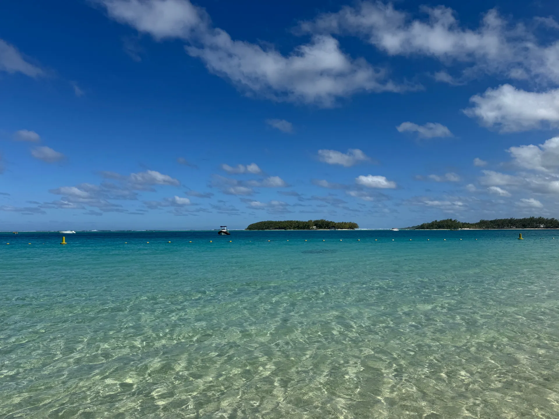 À L’île Maurice, Four Seasons mise sur les abeilles pour préserver les mangroves