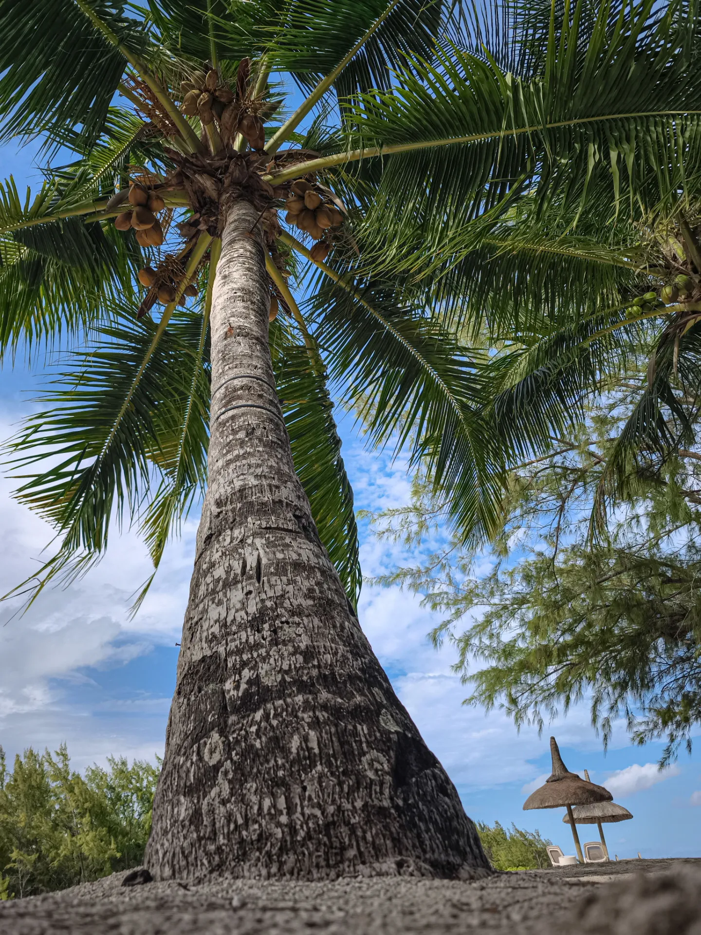 Un miel de mangrove et une approche durable