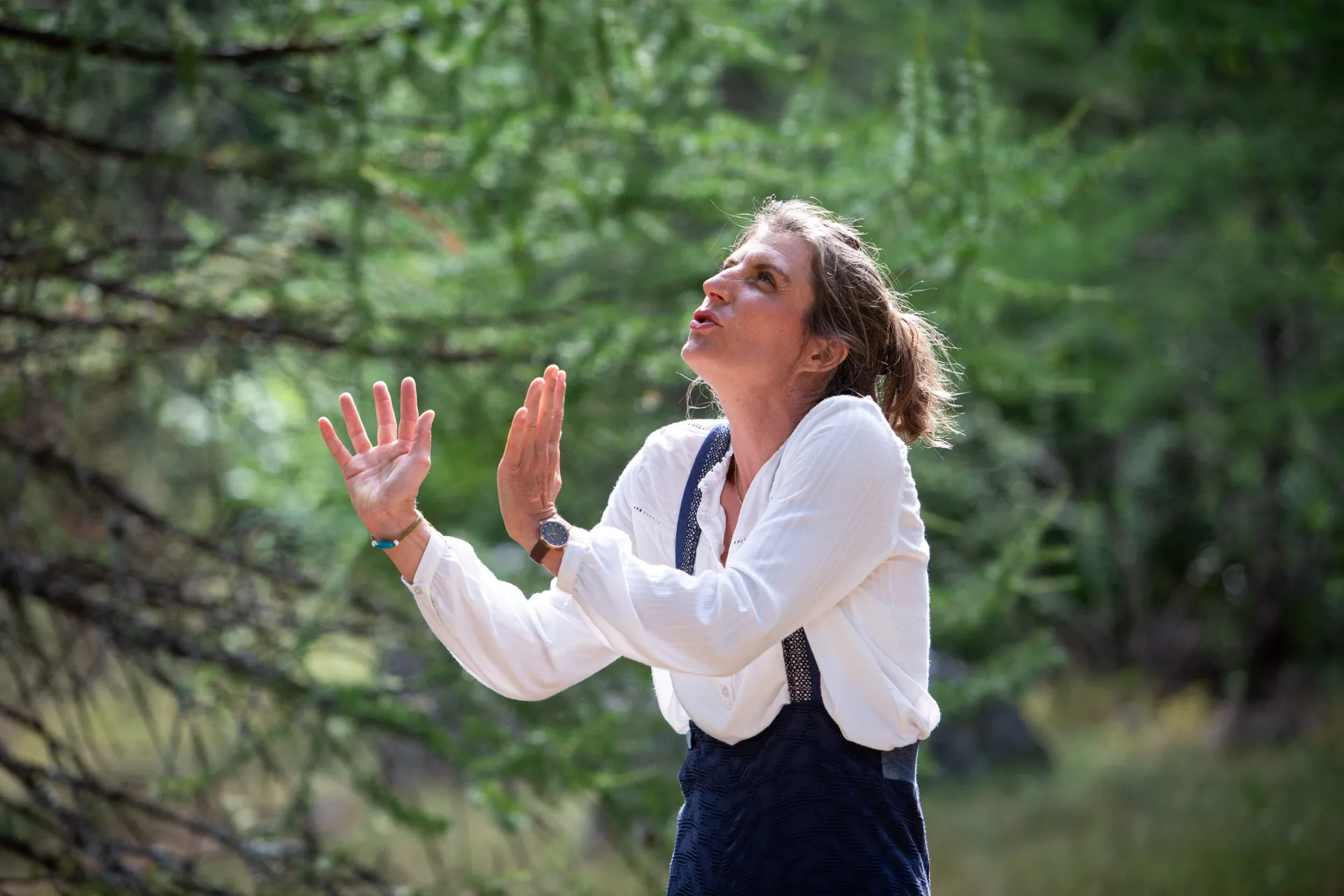 Quand la forêt nous apprend à écouter