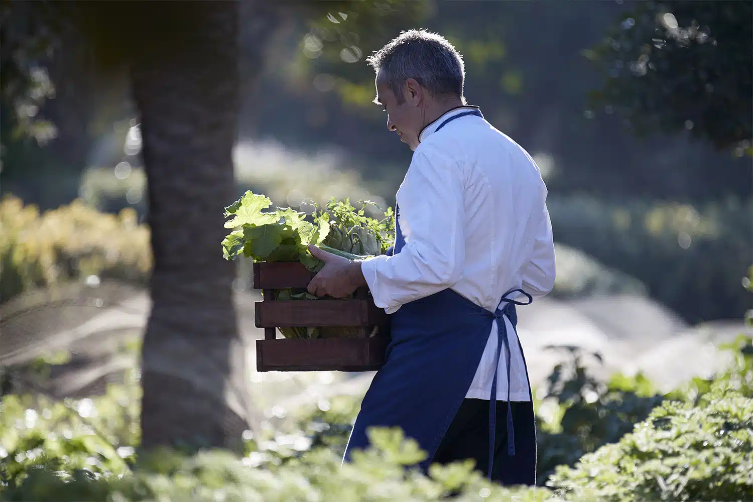 Gastronomie, divertissement et espaces de vie revisités