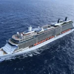 Celebrity Reflection