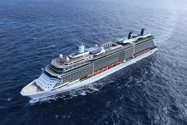Celebrity Reflection