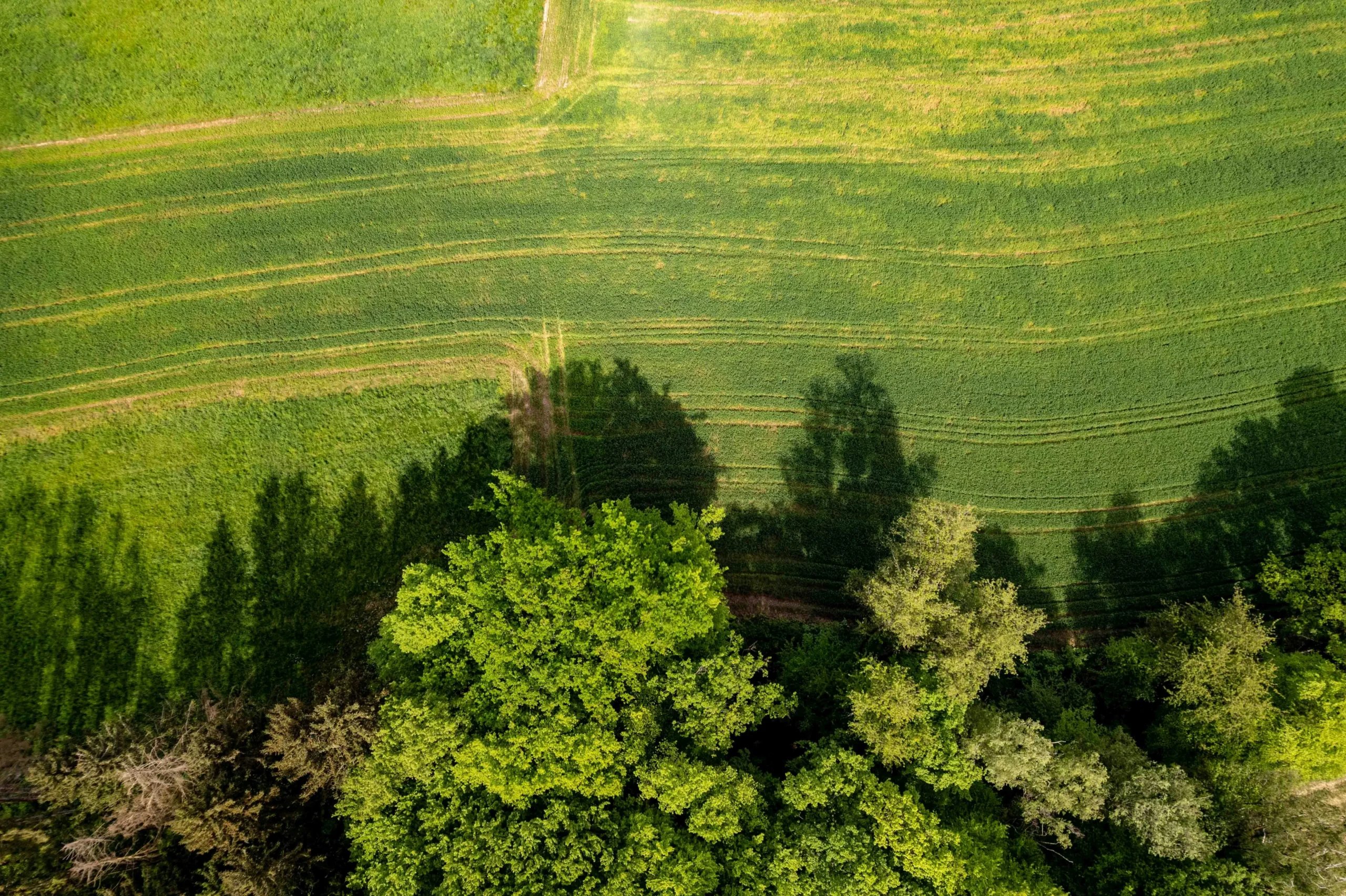 Escapades au vert, le voyage qui redonne du temps